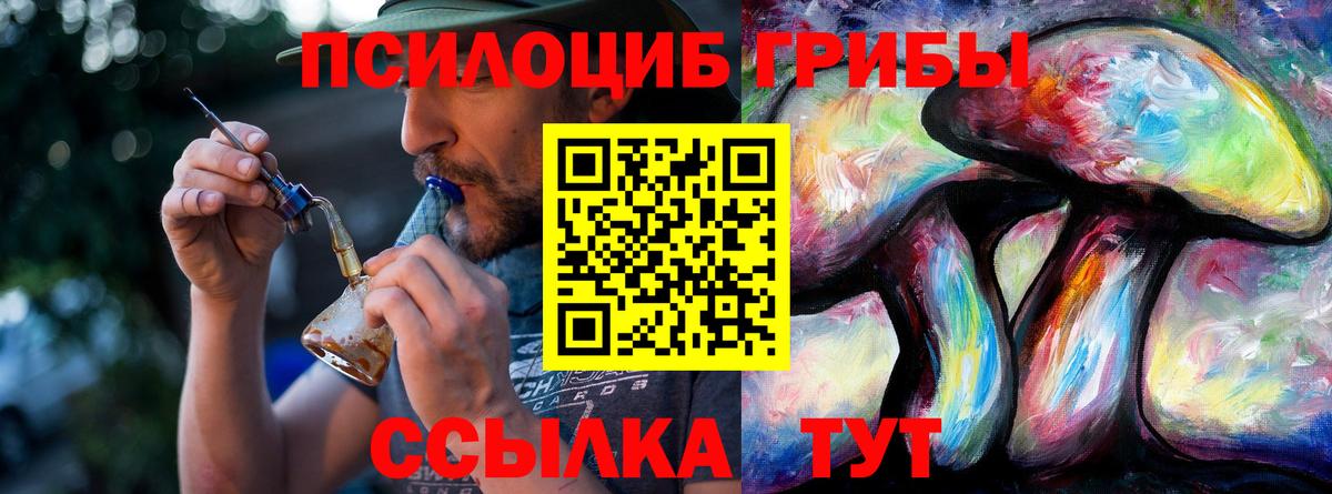Галлюциногенные грибы Psilocybine cubensis Электросталь